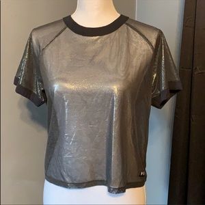 Sheer/Metallic Top/Shirt